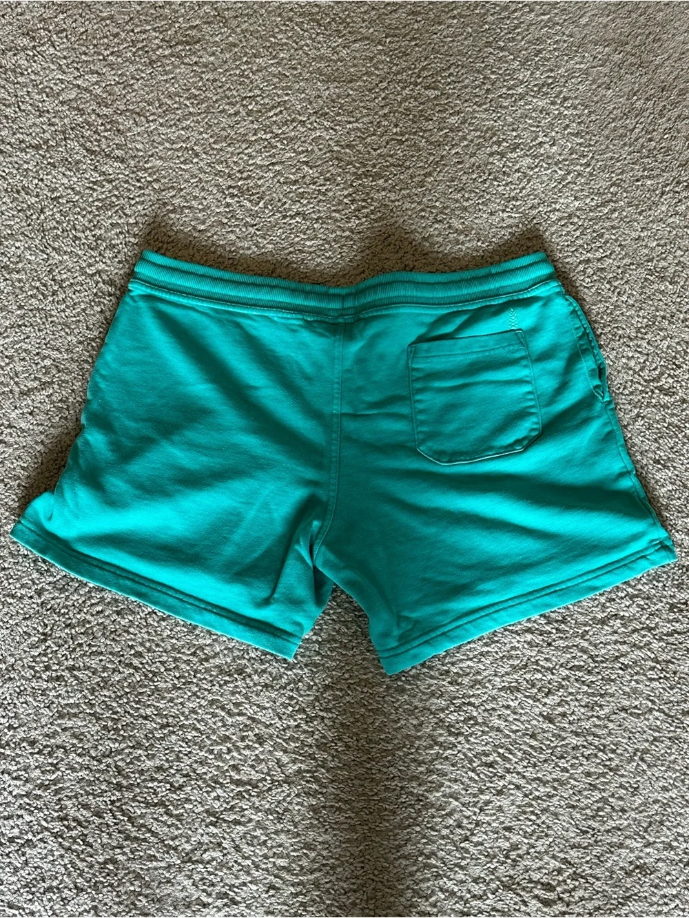 Chubbies - XL - Men’s Teal Lounge Shorts